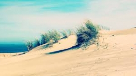 India&#039;s illegal sand mining trade claims hundreds of lives and poses threat to the environment