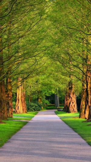 كيف رمونا في أحضان غربة الروح ؟