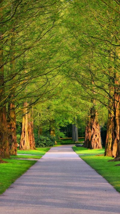 كيف رمونا في أحضان غربة الروح ؟