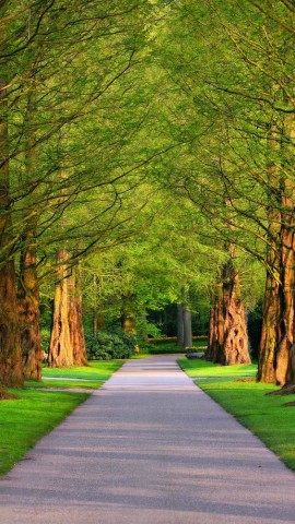 كيف رمونا في أحضان غربة الروح ؟