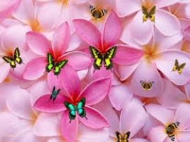 عروة بن الزبير (مؤسس علم التاريخ عند المسلمين )