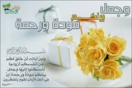 منهج القرآن الكريم في تحقيق السعادة الزوجية2 / 2