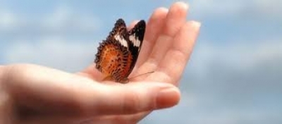 L&#039;amour pour l&#039;humanité