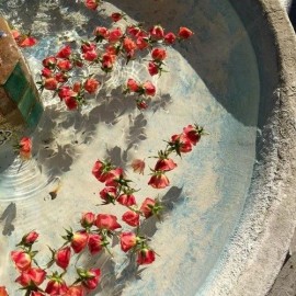 الخروج من الجائحة.. سيناريو تعامل الصين مع تفشي فيروس «كوفيد- 19»