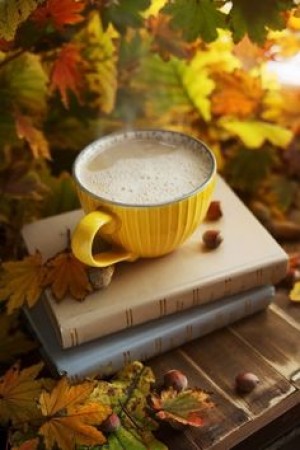 &quot;خيبات العولمة&quot; رؤية نقدية