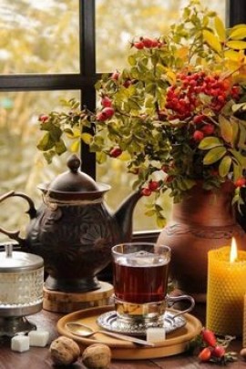 أمثلة واقعية عن إعلام غير مهني