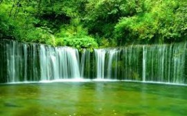 سيادة نمط الحياة الاستهلاكي تحدٍ يواجه الاستقرار الأسري