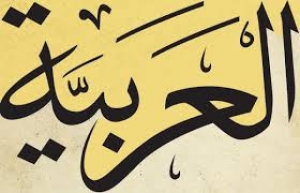 اللغة العربية بين الوجود و التغييب الجزائر أنموذجا