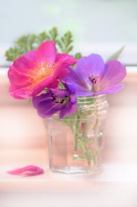 عطر اللوز أوان الربيع