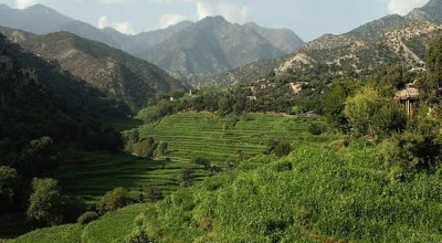 Understanding War in Afghanistan: Politics, Culture and Social History