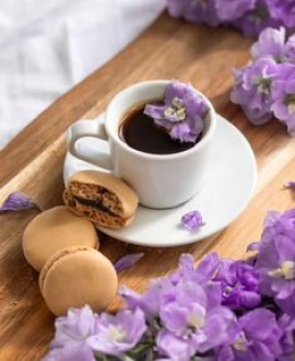 الحرب الإعلامية وتأثيرها على الأمن الفكري و السياسي