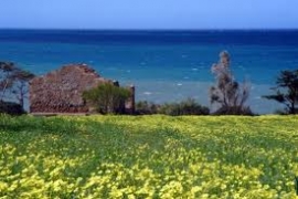 إلي أين سائرة دولة الجزائر؟