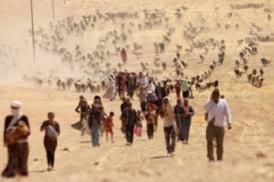 A New Level of Refugee Suffering