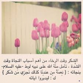 أسباب النجاة