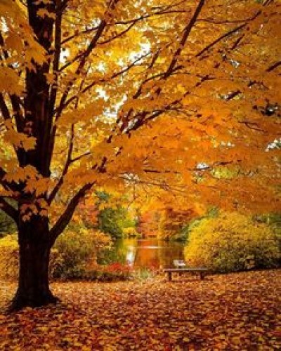 Par une belle matinée d&#039;automne...