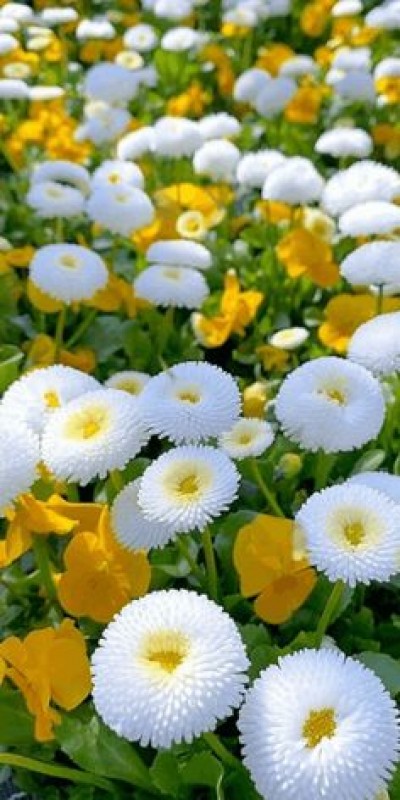 Je n&#039;ai pas oubliée l&#039;horreur de Halabja