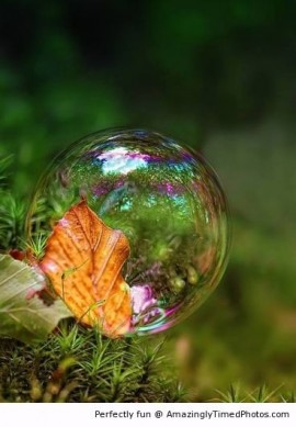 عن الشريعة و قطع يد السارق و الطبيعة