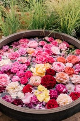 ريادة عالمية ؟
