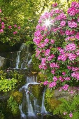 فقه التراكمات