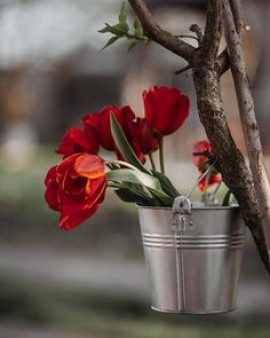 Ayam de Nassérah Nazareth 10