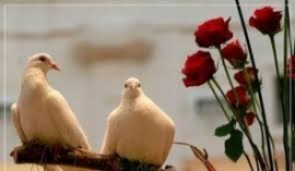 النقطة الغامضة في الحوار الزوجي