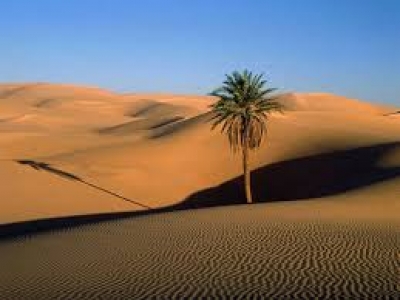 عندما نعطي الآمان