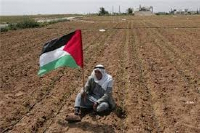 عدد فلسطينيو الداخل أكبر من الخارج.. ولأول مرة..!