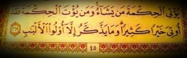 الثورة بحاجة إلي حكماء