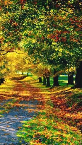 عدم الاستقرار في البحر الأحمر وتداعياته على السوق العالمي للغاز الطبيعي المُسال