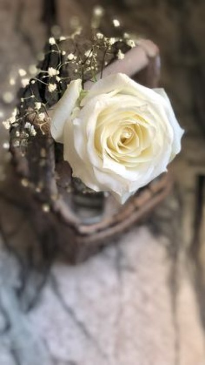 La Camée de la Princesse Voilée 23