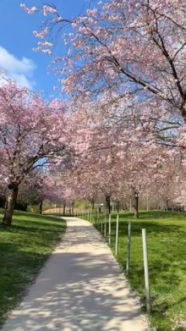 De la servitude à la liberté