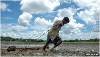 ARGUMENT Ending India’s Agrarian Nightmare