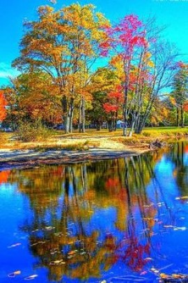 La Drôle Pandemie Corona Covid-19 54