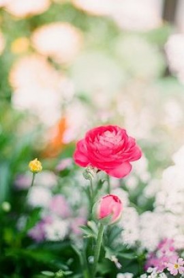 إنسانية العنف: المقاومة الفلسطينية المسلحة