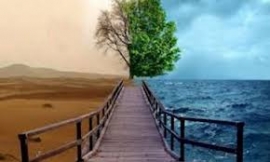 واقع الحال ينذر بسوء المآل...