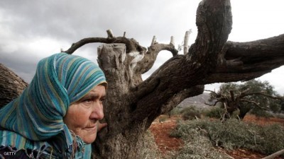 في ذكرى نكبة فلسطين الثامنة والستين: إليك يا أختي في فلسطين والشام والعراق...