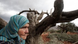 في ذكرى نكبة فلسطين الثامنة والستين: إليك يا أختي في فلسطين والشام والعراق...