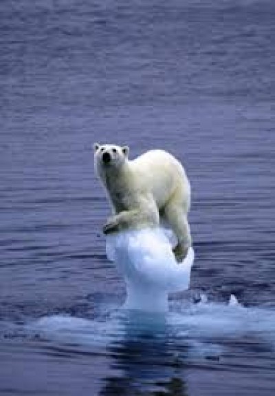 Le pari ambigu de la coopération climatique