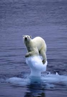 Le pari ambigu de la coopération climatique