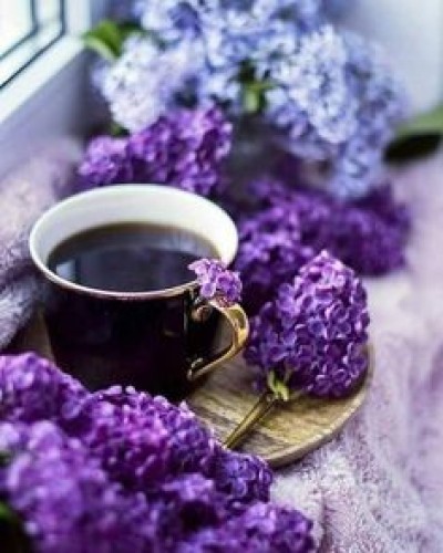 &quot;إنهض أيها الحكيم&quot;