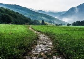 Why the Best New Deal Is a Green New Deal