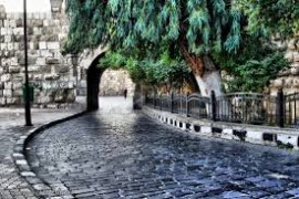 سوريا.. وصمة عار على جبيننا جميعًا