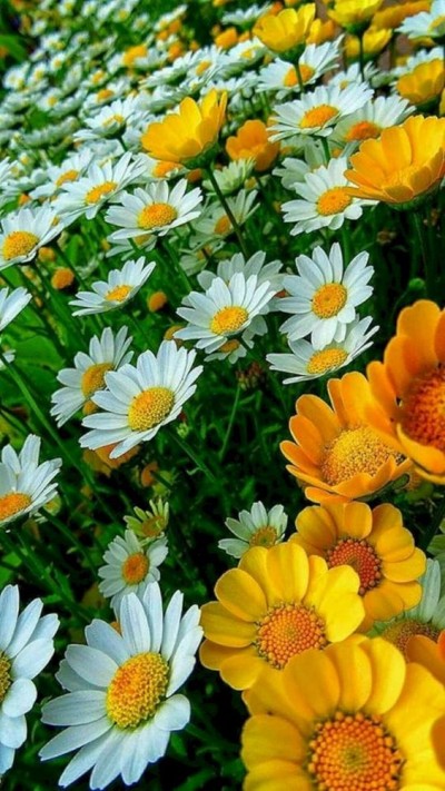FASTING: LESSON IN GRATITUDE