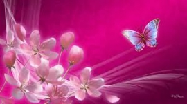 لماذا الافتراء على الإسلام والمسلمين...؟