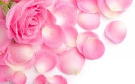 الرياضة و ضوابطها