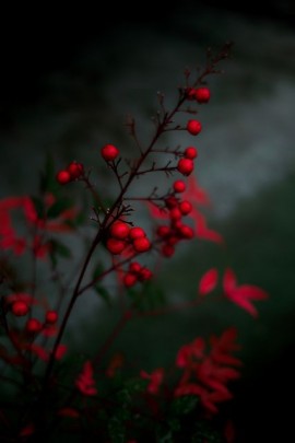 L&#039;Islam is a way of life et pas une chose privée