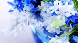 ورَعٌ محمود ..وورَعٌ مطلوب