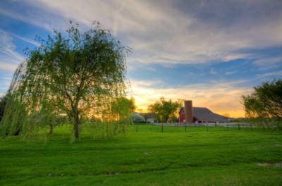 The looming collapse of agriculture on the Great Plains 1/2