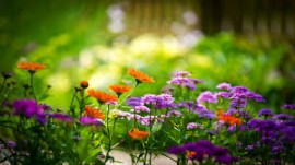 L’Islam est un et indivisible