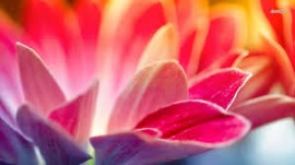 المرأة والموضة 2/3